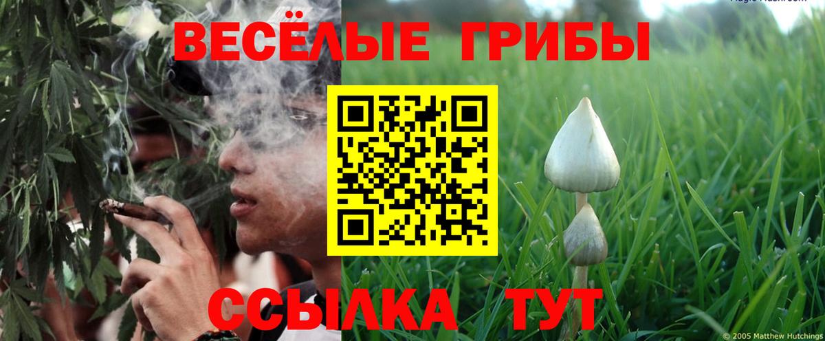 Новоалександровск  Псилоцибиновые грибы Psilocybe  Вход с VPN 
